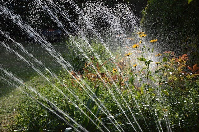 Irrigation In The Greater Toronto Area